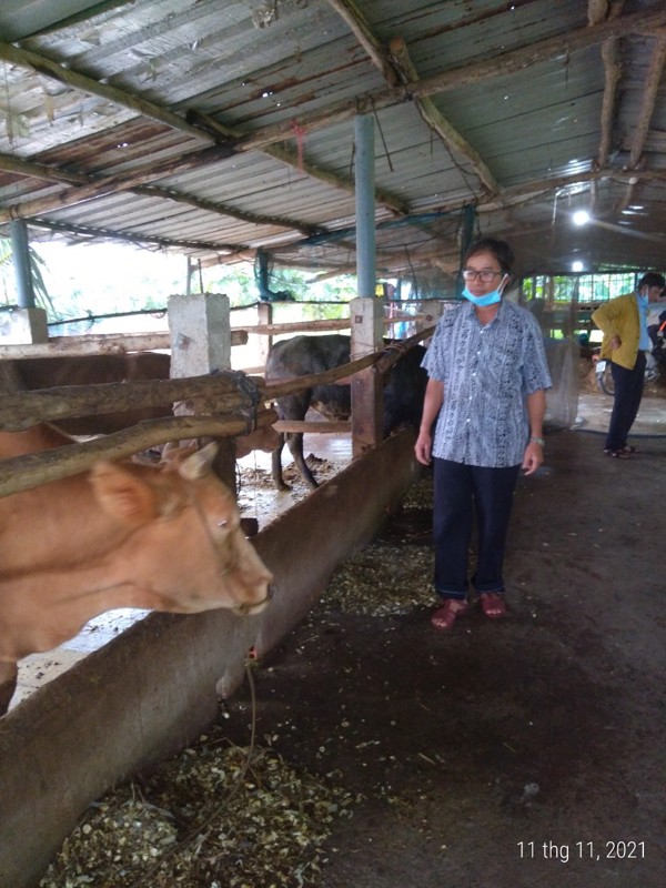 Một mô hình chăn nuôi đáng để học tập