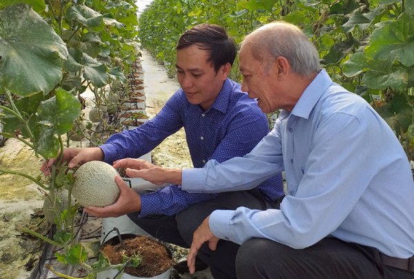 Áp dụng công nghệ tưới tiên tiến: Tăng hiệu quả canh tác cây trồng