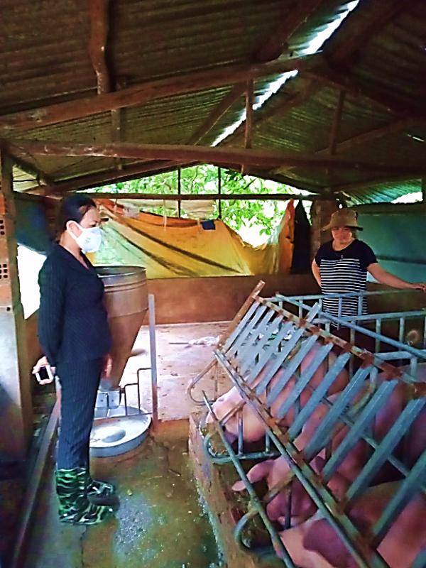Chị Phượng làm kinh tế giỏi