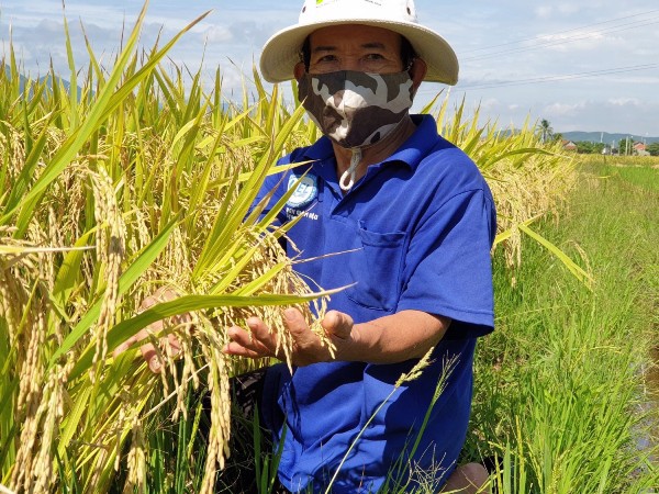Cần đổi mới về tư duy, cách tiếp cận, cách làm trong hoạt động khuyến nông năm 2022