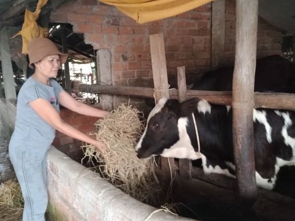 Cô Phúc làm kinh tế giỏi