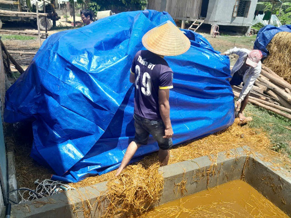 Anh trưởng thôn người Chăm HơRoi đi đầu trong việc trồng nấm