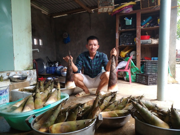 Trồng tre lấy măng trên vùng đá sỏi