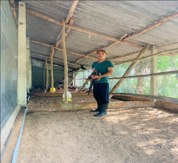 Thanh niên khởi nghiệp từ nuôi chim trĩ