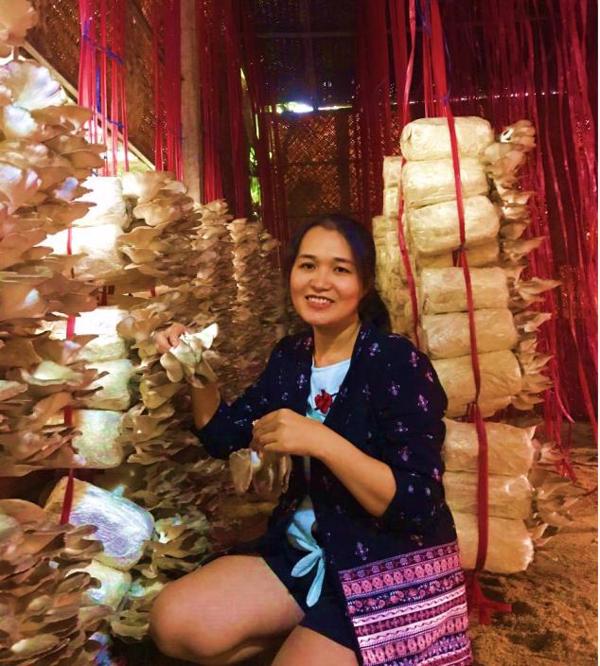 Kinh nghiệm trồng nấm sò của chị Ngân