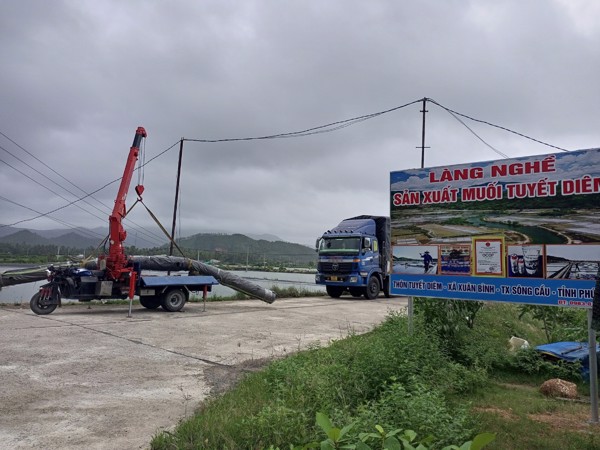 Để hạt muối Tuyết Diêm vươn xa