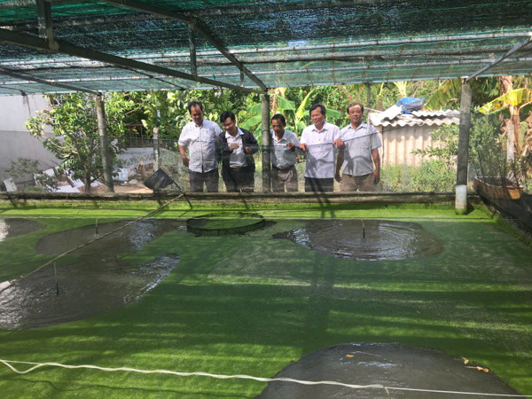 Một số kết quả ứng dụng tiến bộ kỹ thuật trong lĩnh vực Khuyến ngư giai đoạn 2021- 2024 tại Phú Yên