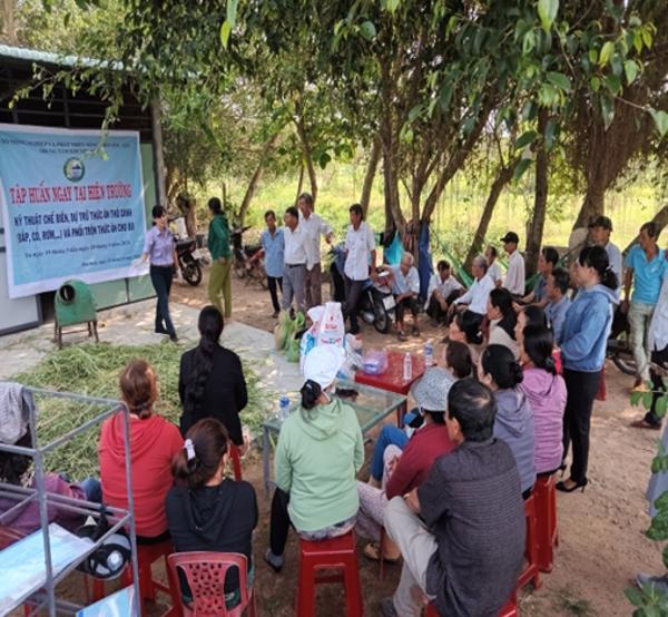 Trạm Khuyến nông thành phố Tuy Hoà triển khai tập huấn hiện trường cho hội viên Nông dân xã Hoà Kiến