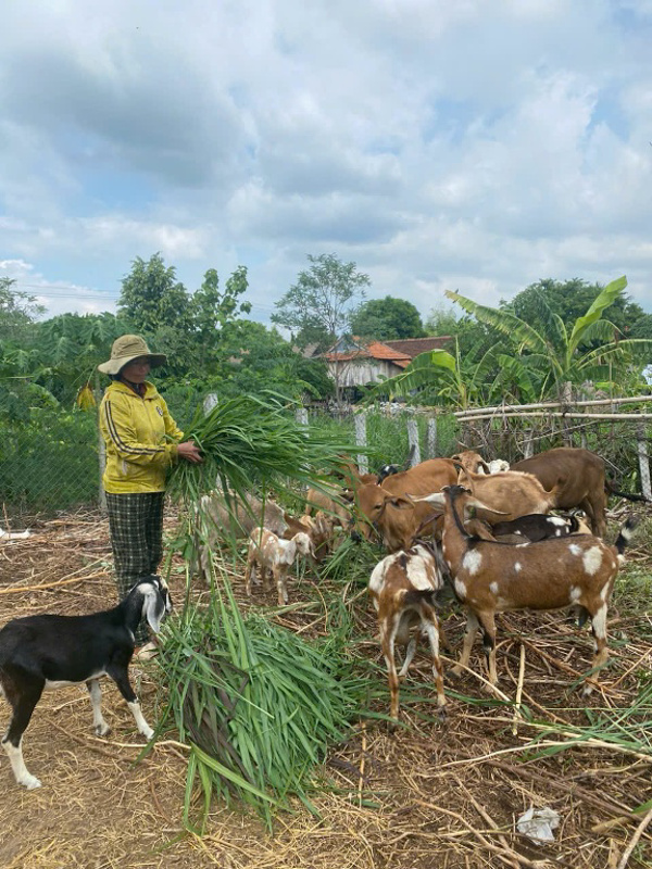Muốn làm giàu về kinh tế, trước hết phải làm giàu về cách suy nghĩ