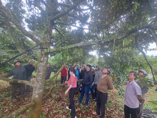 NÂNG CAO KIẾN THỨC CHO NÔNG DÂN, HƯỚNG TỚI SẢN XUẤT NÔNG NGHIỆP BỀN VỮNG