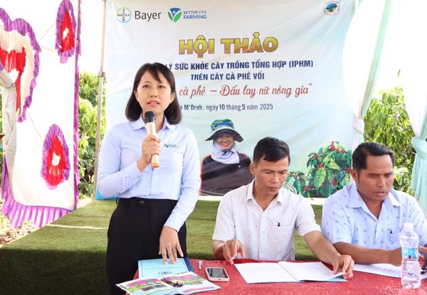 Nâng cao hiệu quả sản xuất cà phê bền vững