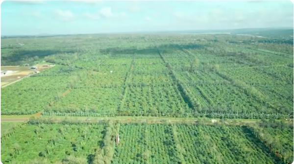 Video Ký sự chuyến đi học tập tại Quảng Trị - Hà Tĩnh (17 - 21/11/2025)