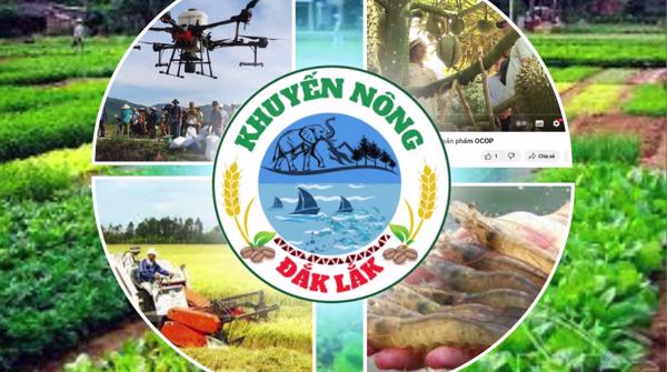 Trailer Hội nghị "Tiềm năng sản xuất nấm dược liệu phục vụ nội tiêu và xuất khẩu tại Đắk Lắk"