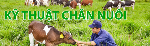 Kỹ thuật chăn nuôi